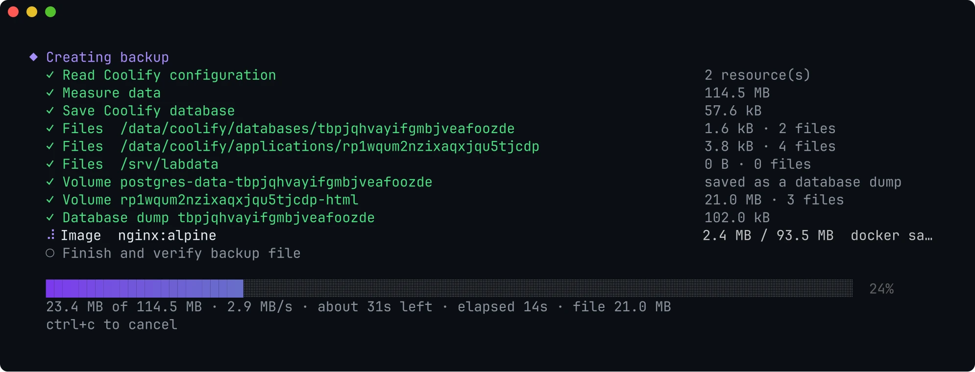 Backup progress: files, volumes, a database dump and an image, with size, speed and time left