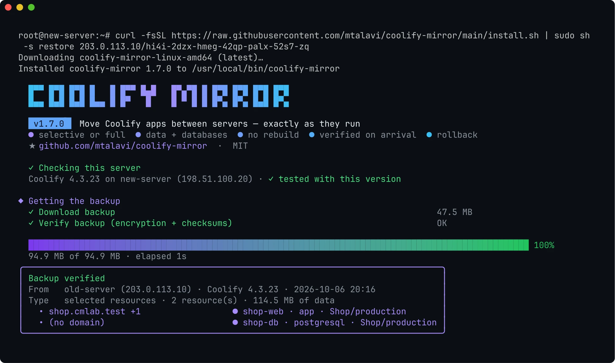 The pasted command installing the tool and verifying the backup